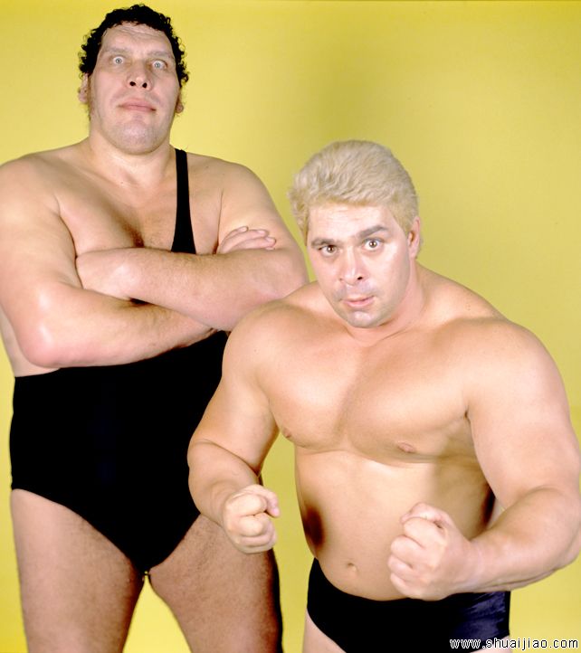 WWE强者生存史上出现过的所有团队组合