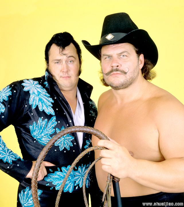 WWE强者生存史上出现过的所有团队组合