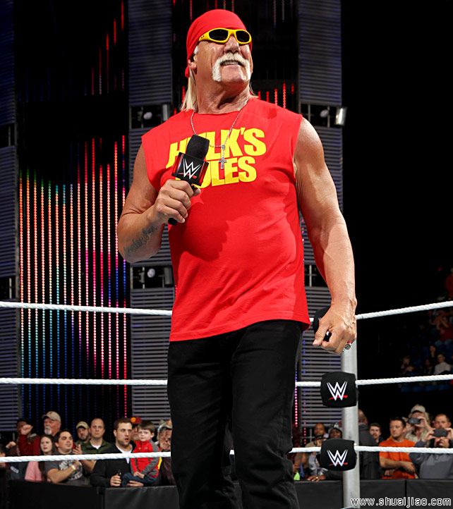 WWE劳军赛2014比赛图片