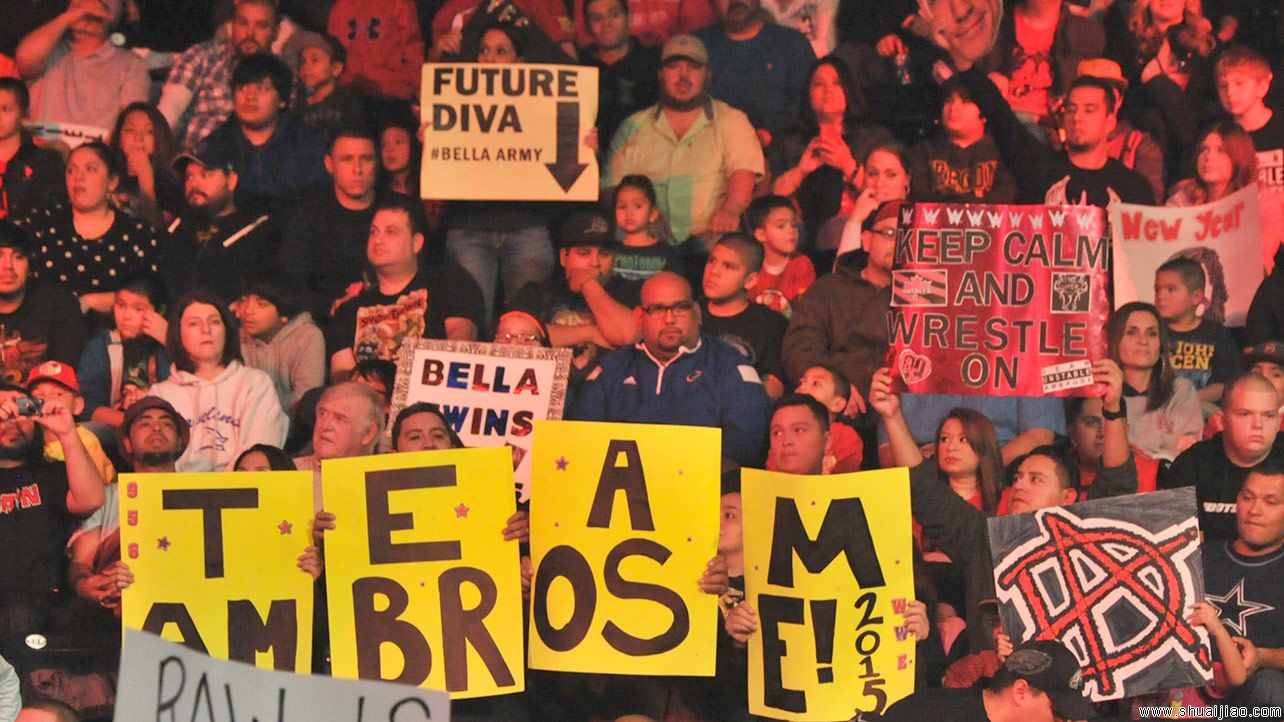 RAW粉丝现场标语大荟萃(2015.01.20) 