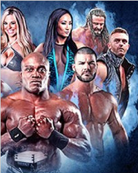 iMPACT 2015.01.01