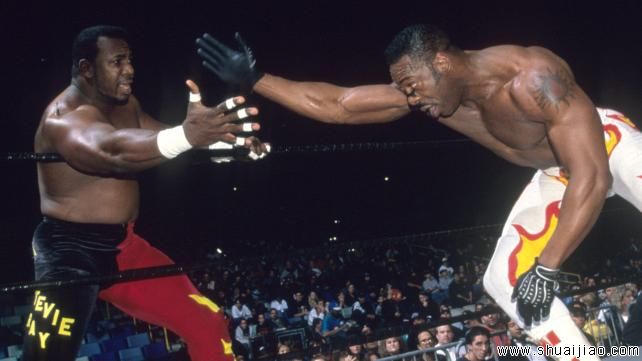 WWE摔角传奇斯蒂夫·雷