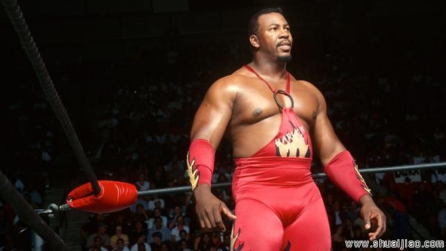 WWE摔角传奇斯蒂夫·雷