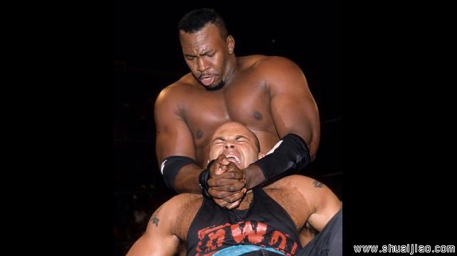 WWE摔角传奇斯蒂夫·雷