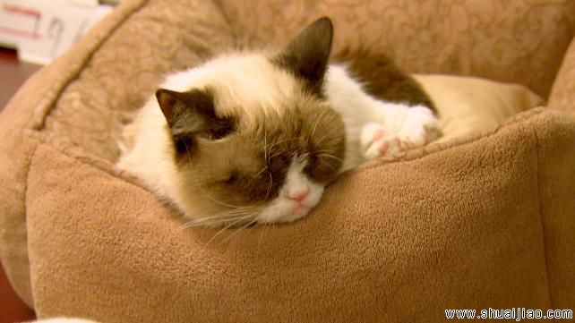 Total Divas第三季19集合集