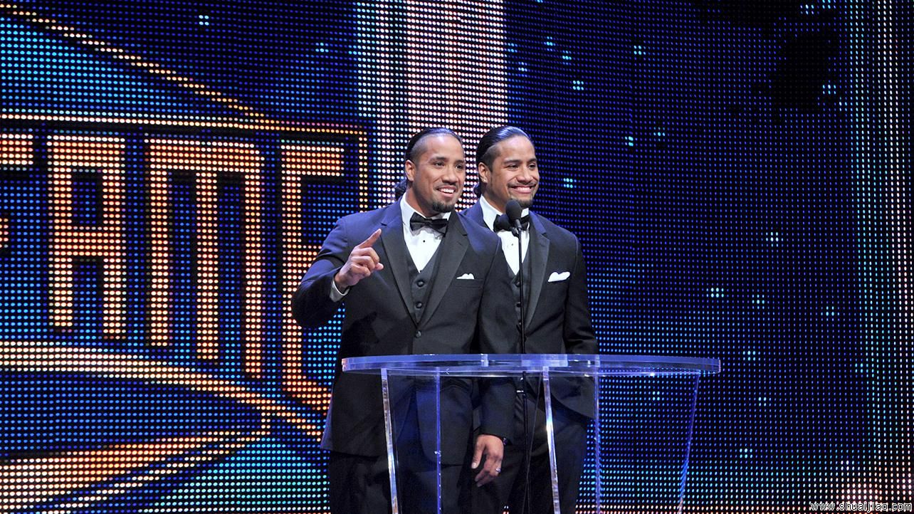 里克希入选WWE2015名人堂