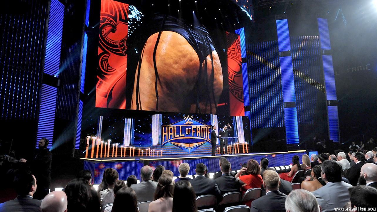 里克希入选WWE2015名人堂