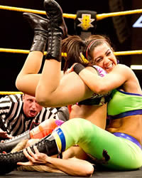 WWE NXT 2015.04.02