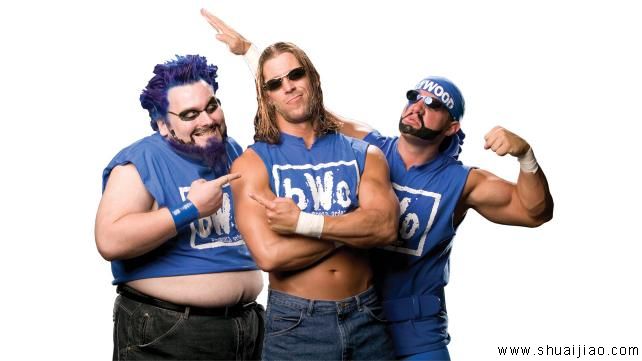 斯蒂文·医生的职业摔角生涯