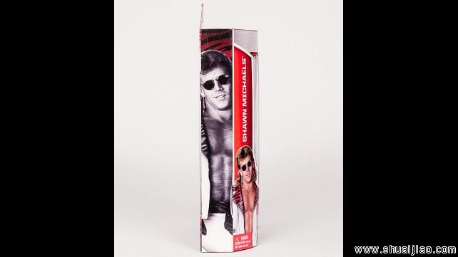 肖恩·迈克尔斯周边人偶玩具