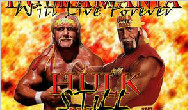 WWE冠军赛：胡克·霍根对阵瑞克·福莱尔