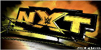 NXT与ROH、NJPW合办现场秀？