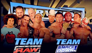 WWE05年强者生存Team RAW对阵Team Smackdown传统5对5淘汰赛