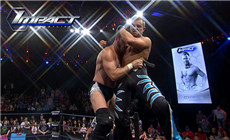 《TNA 2015.08.06》战报:AA饮恨离开，哈迪惜败EC3