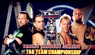 WWE09年TLC DX对阵杰里秀双打冠军TLC赛