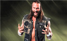前TNA选手格纳比赛中怒踢粉丝！