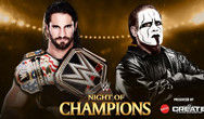 WWE 冠军之夜第三部分：罗林斯对阵斯汀