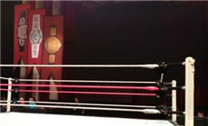 WWE再现“粉红丝带” ，为防治乳癌推广出力