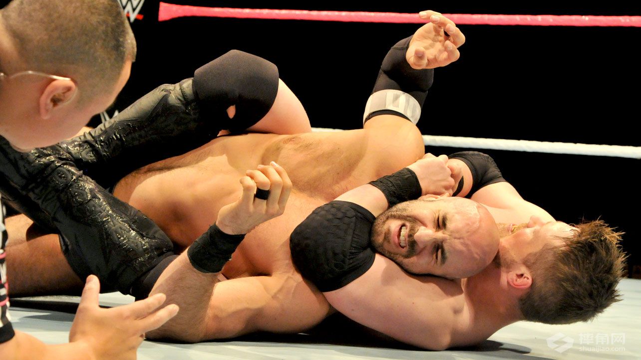 WWE墨西哥现场秀（第三天）蒙特雷站