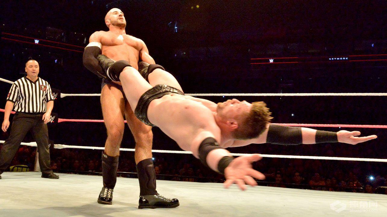 WWE墨西哥现场秀（第三天）蒙特雷站