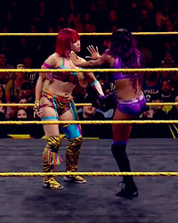 WWE NXT 2015.11.05