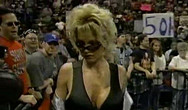 经典回放：WWE RAW 1998.02.02(中文)下
