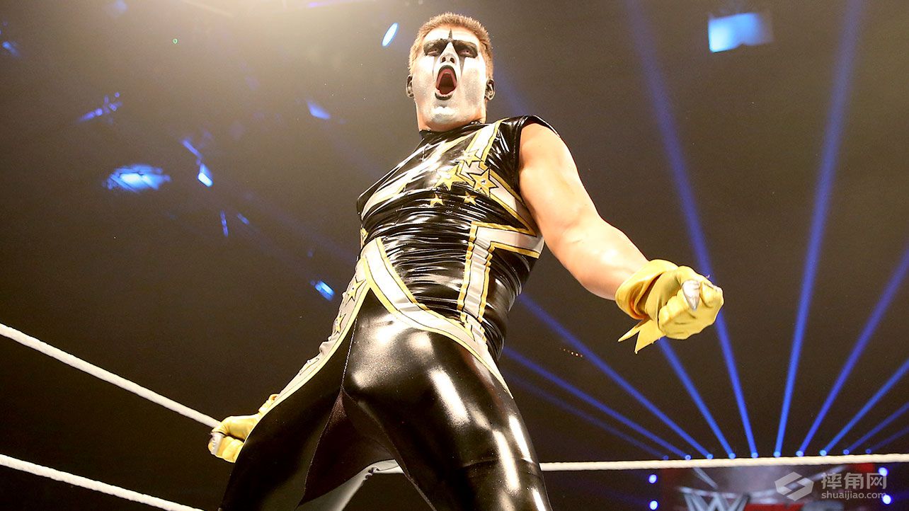 WWE英国纽卡斯尔现场秀