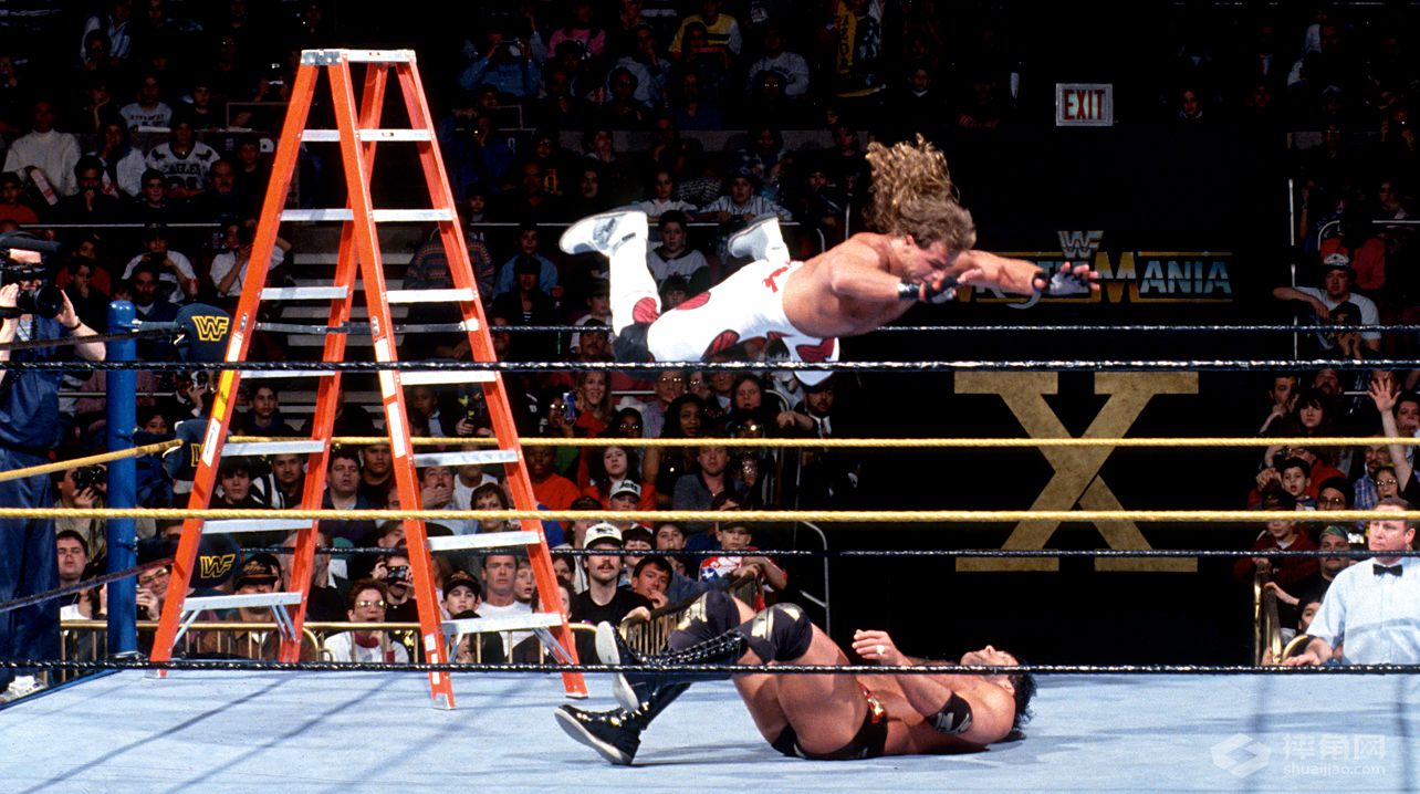 WWE摔迷必看50大比赛