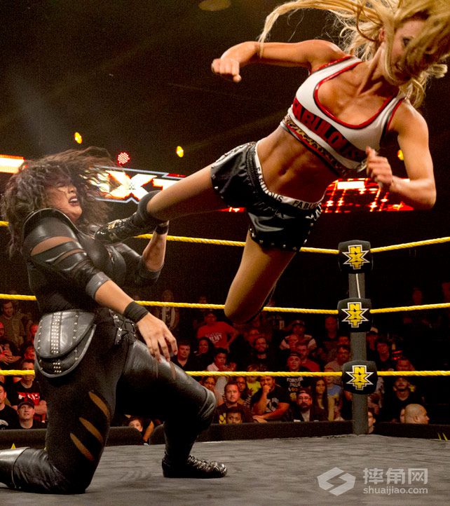 《WWE NXT 2015.11.19》视频组合图集
