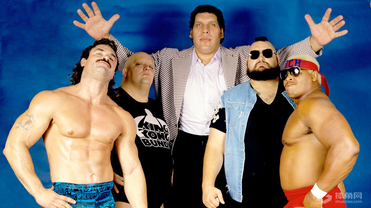WWE强者生存25对最酷的团队组合