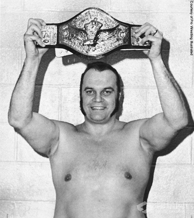 WWE历届世界重量级冠军腰带获得者（2015版）