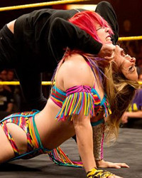 WWE NXT 2015.11.26
