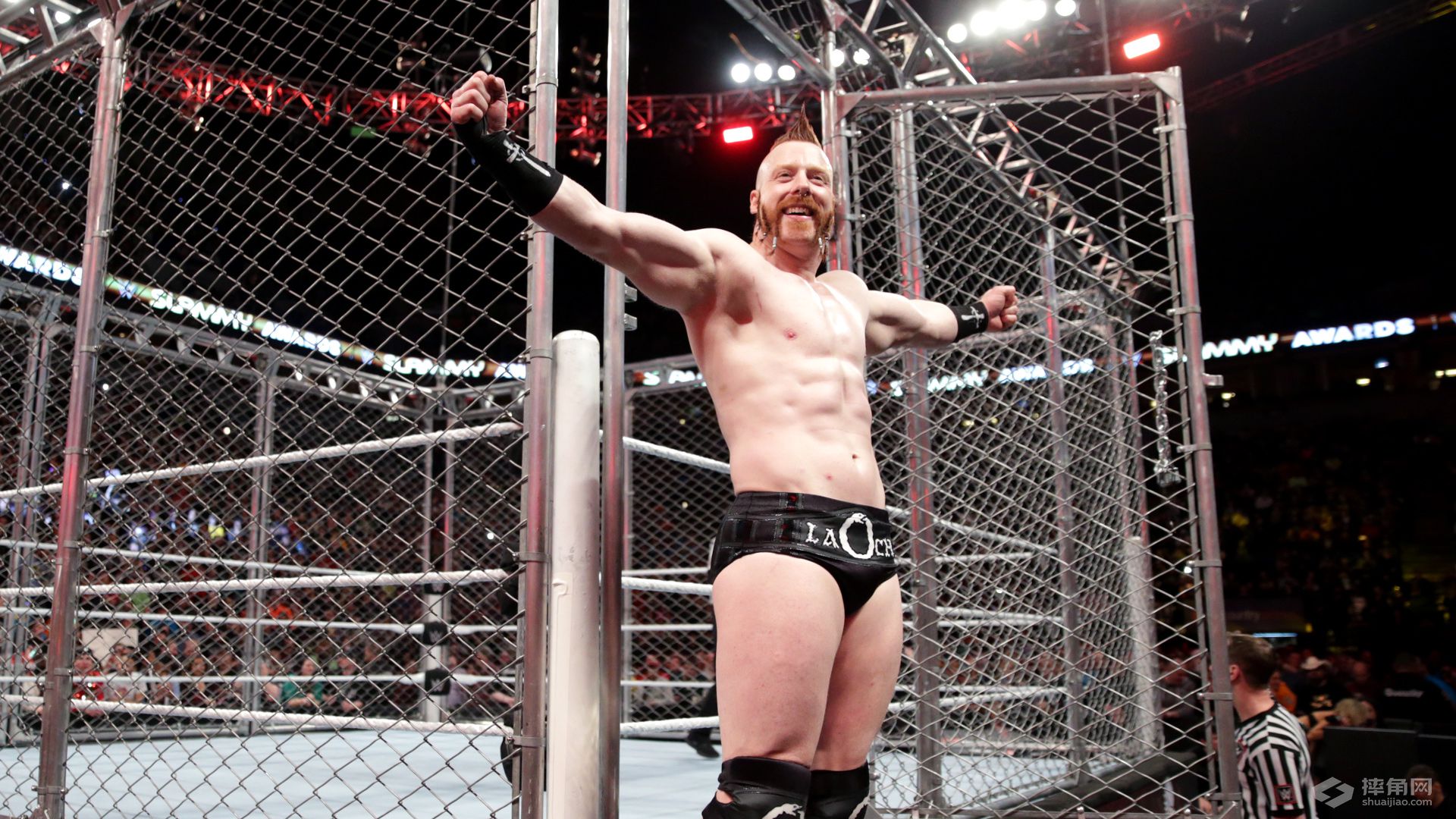 《WWE RAW 2015.12.22》视频组合图集