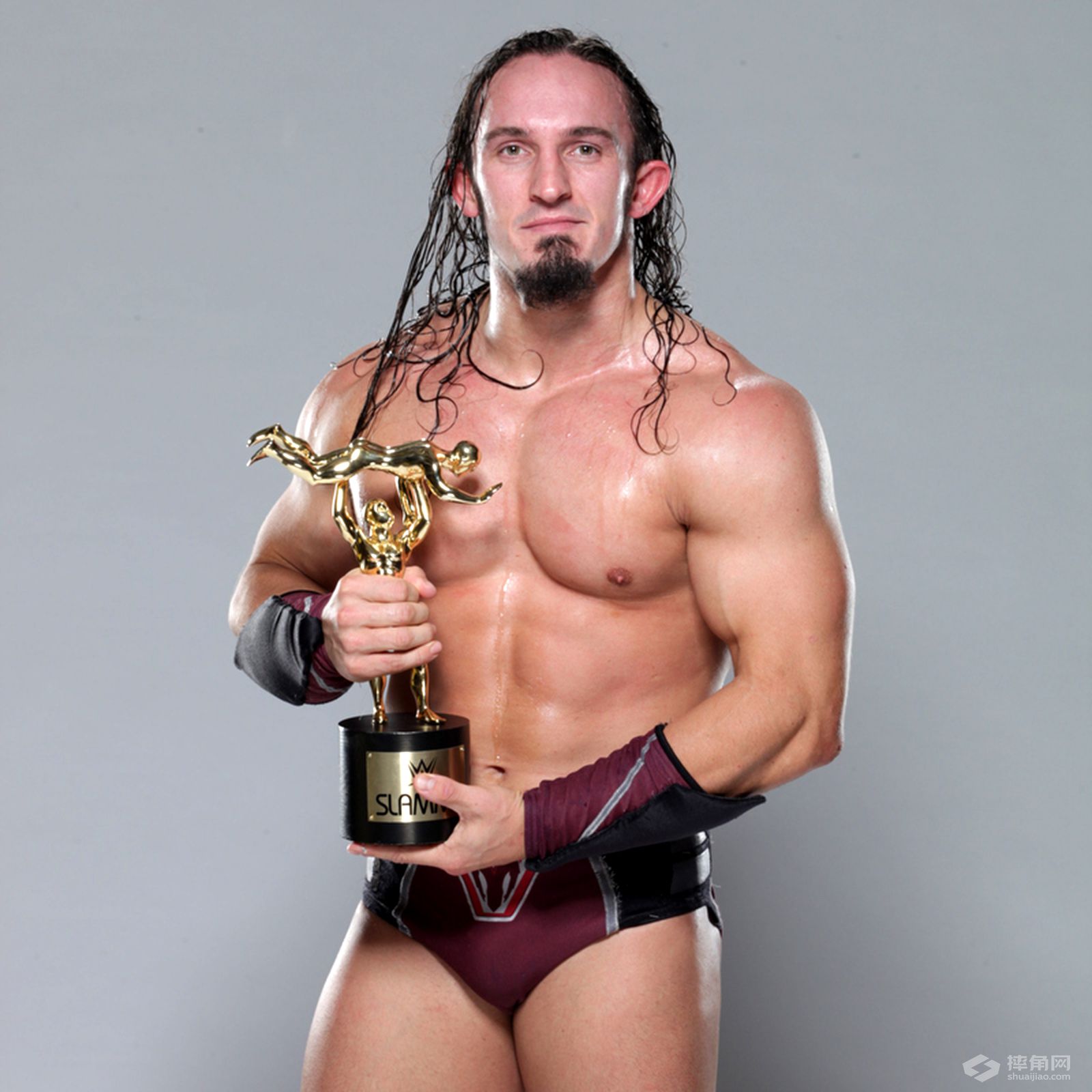 WWE2015摔美奖获奖选手图集