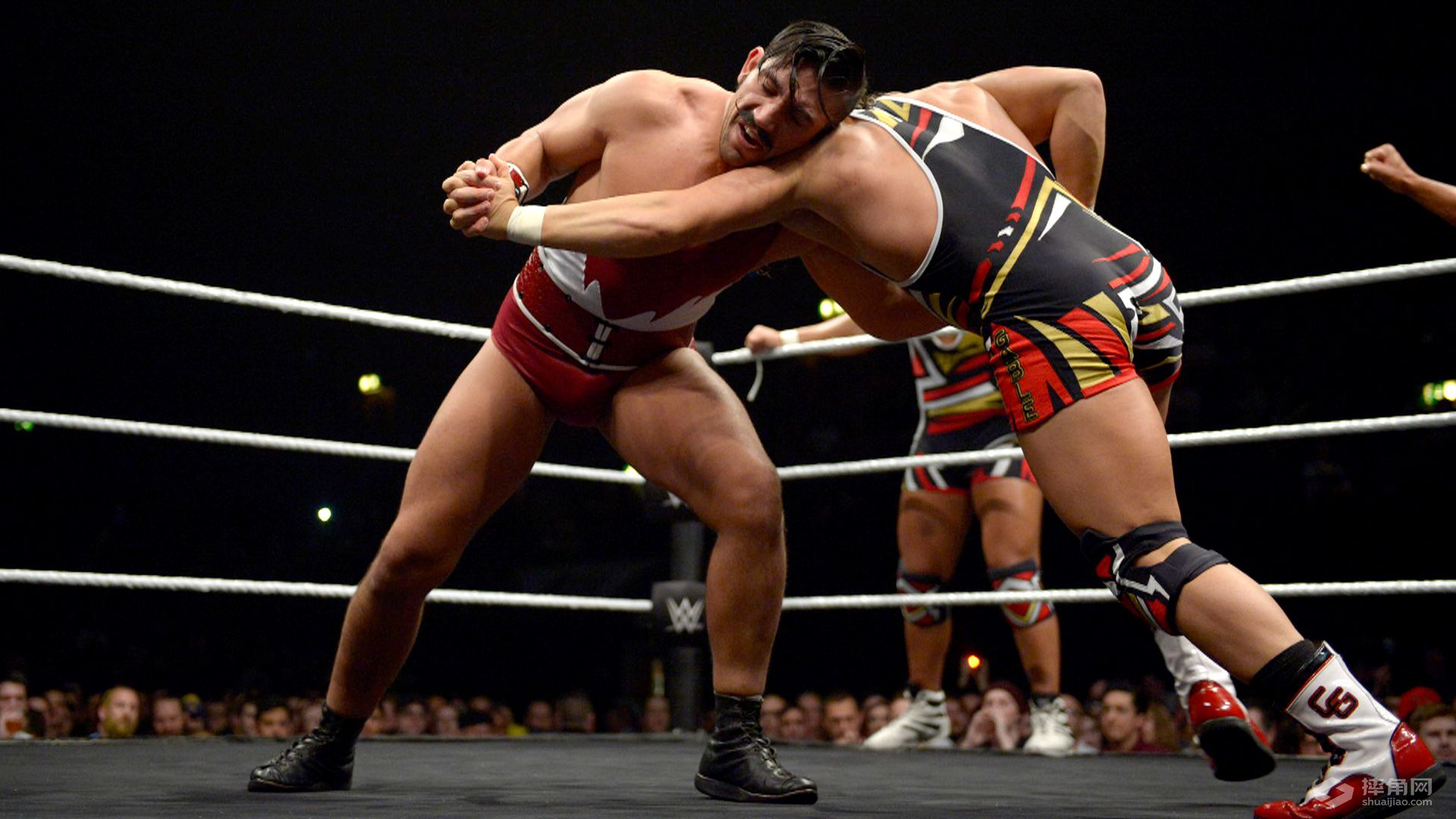 《WWE NXT 2015.12.24》视频组合图集