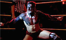 NXT冠军芬·巴洛尔：希望赢得世界重量级冠军