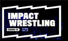 本周TNA大战一触即发，冠军花落谁家？