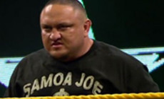 萨摩亚·乔即将从WWE NXT转会至主秀？