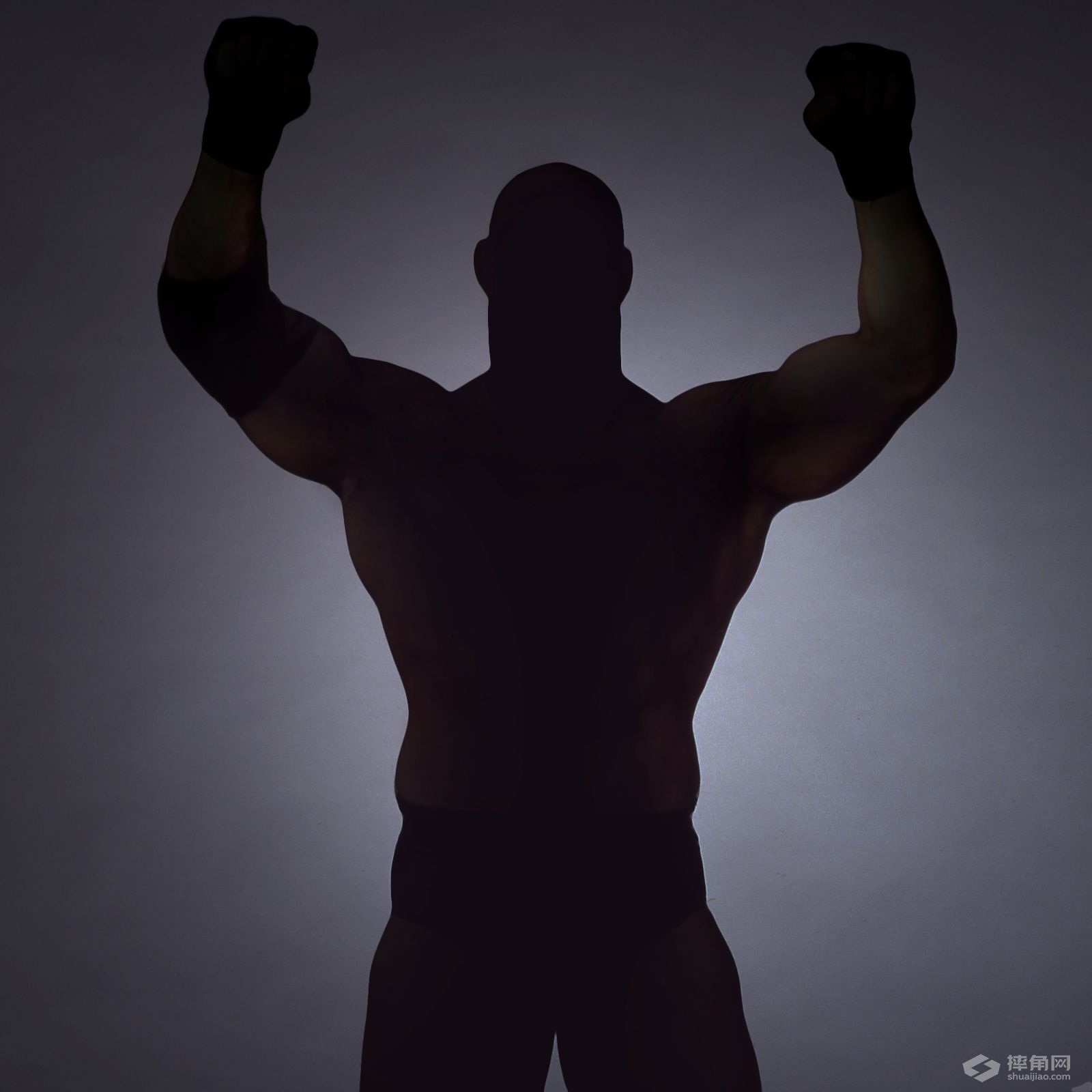 你能单凭黑影认出这些WWE明星吗？