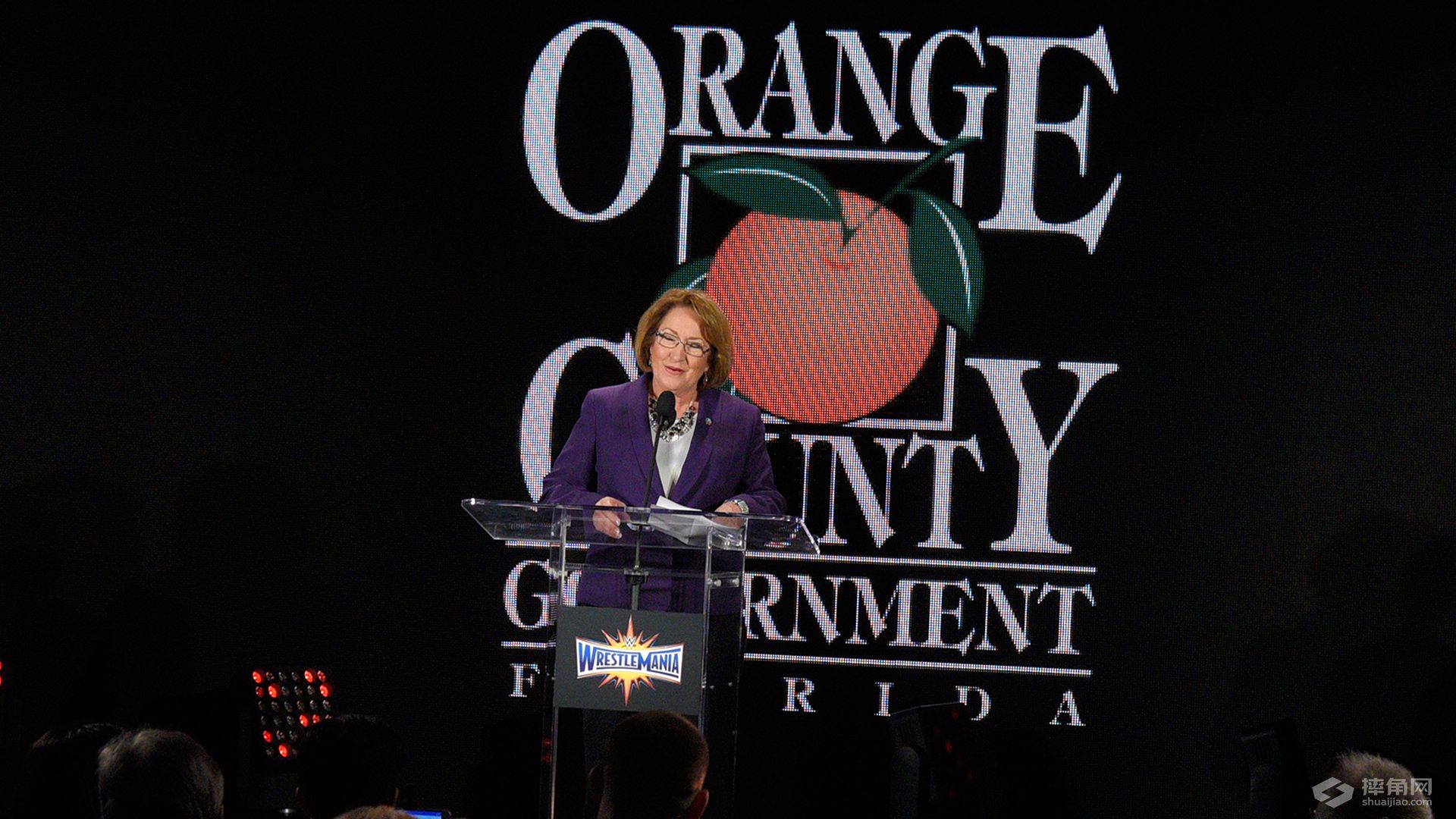 WWE摔角狂热33新闻发布会