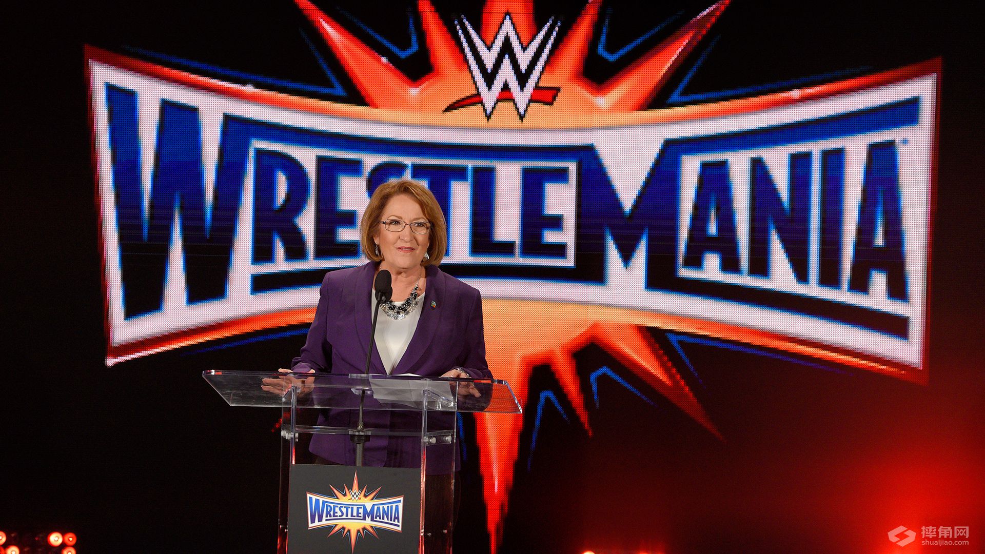 WWE摔角狂热33新闻发布会