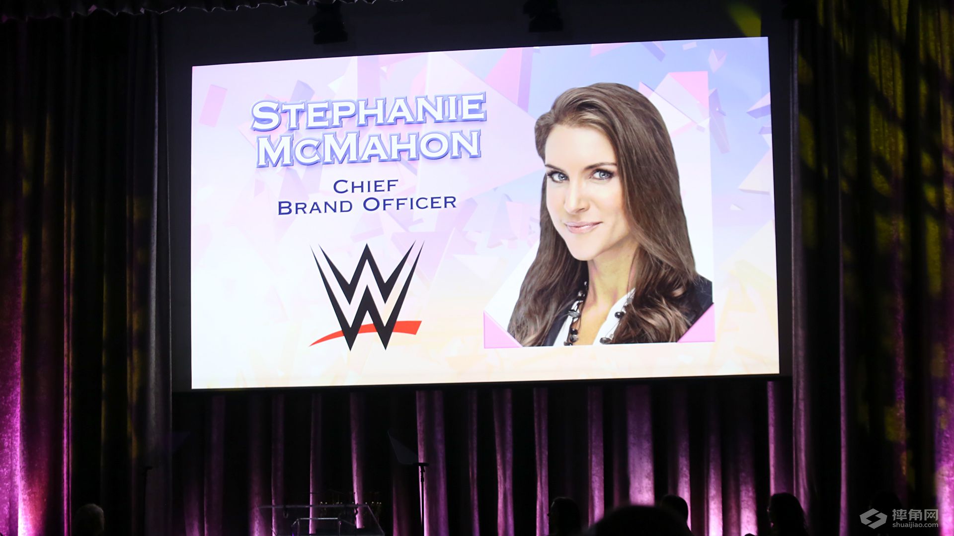 WWE斯蒂芬妮·麦克曼获得电视奇迹女子奖