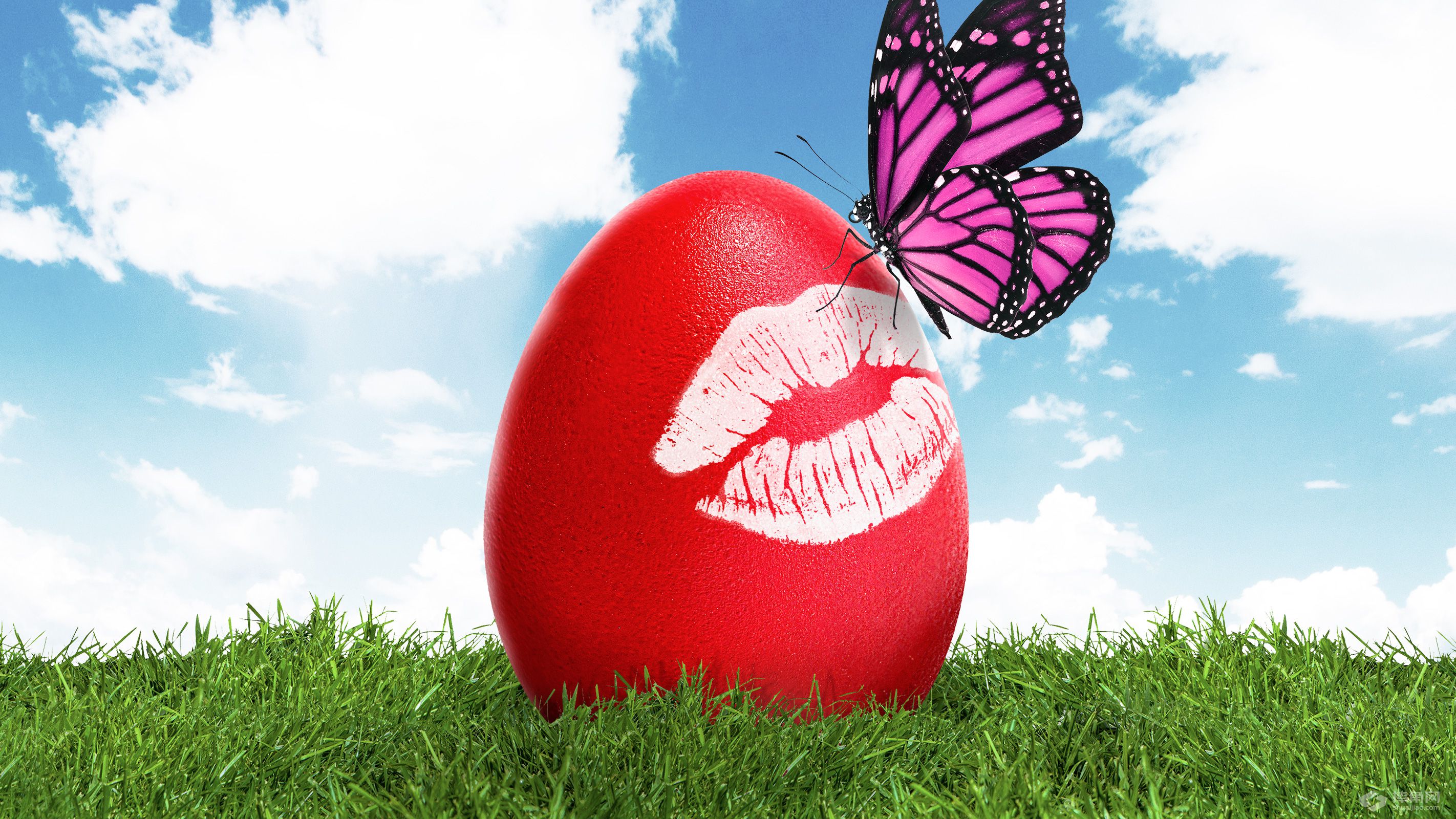 WWE图案启发的复活节彩蛋