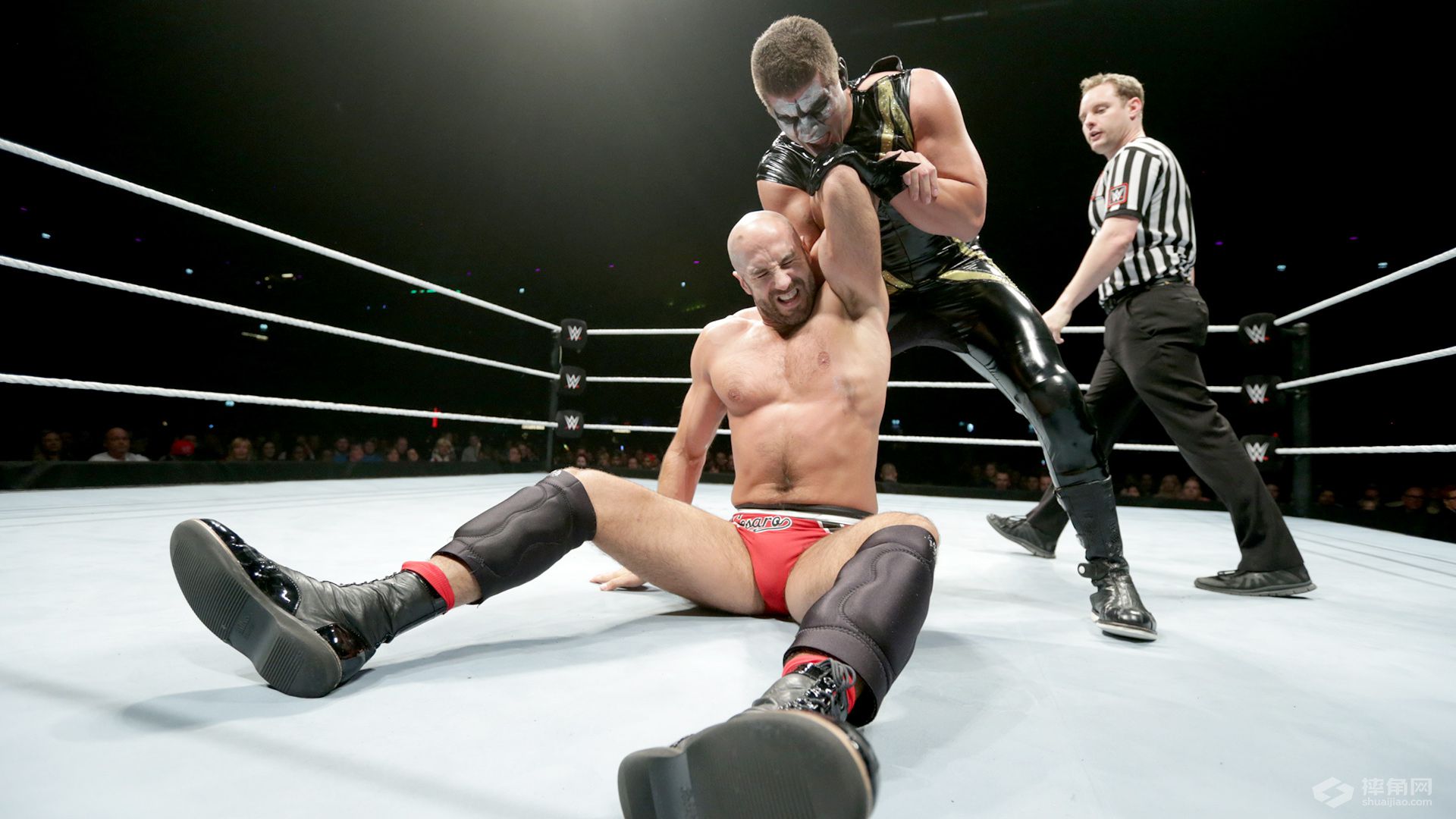 WWE荷兰现场秀