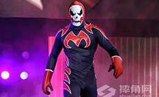 前TNA X组别冠军进军WWE锦标赛！