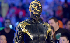 金沙是否打算跟随弟弟星尘离开WWE？