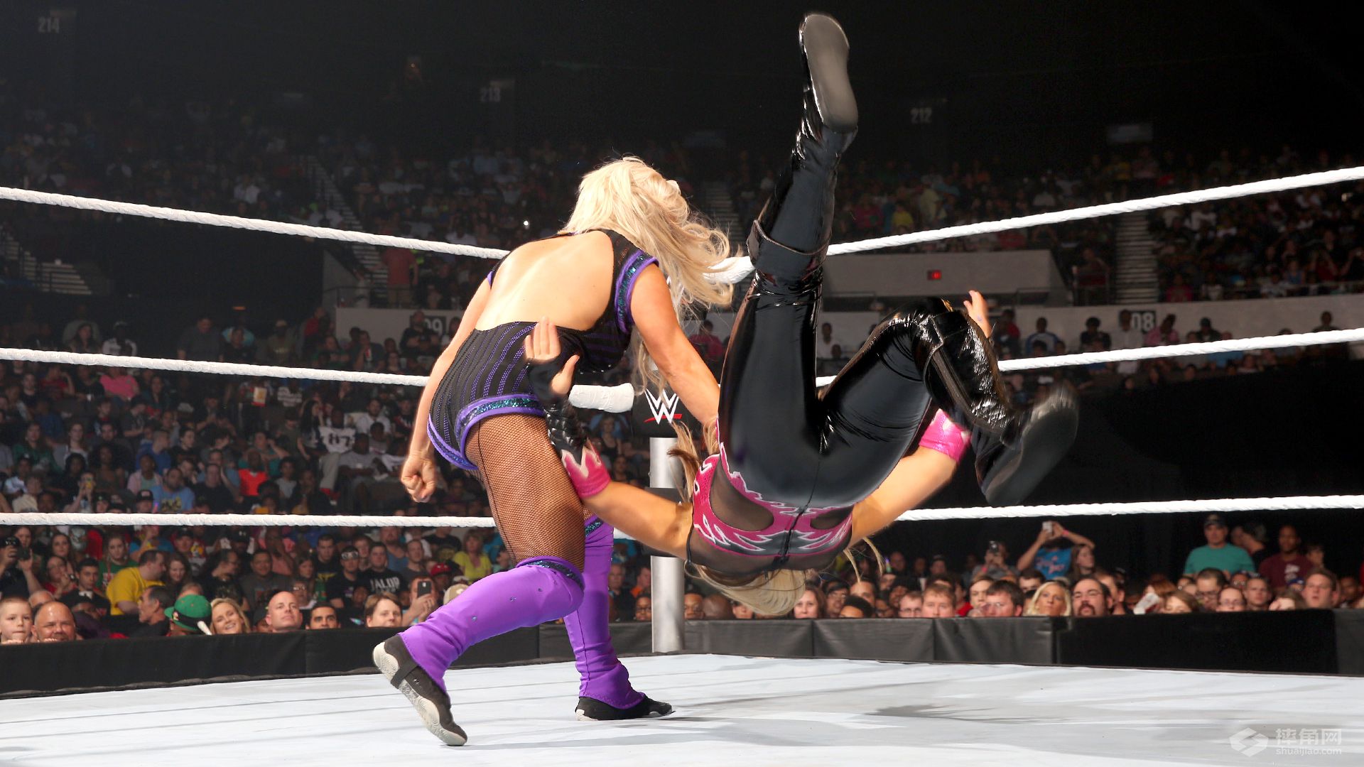 娜塔莉娅对阵戴娜·布鲁克《WWE SmackDown 2016.05.27》