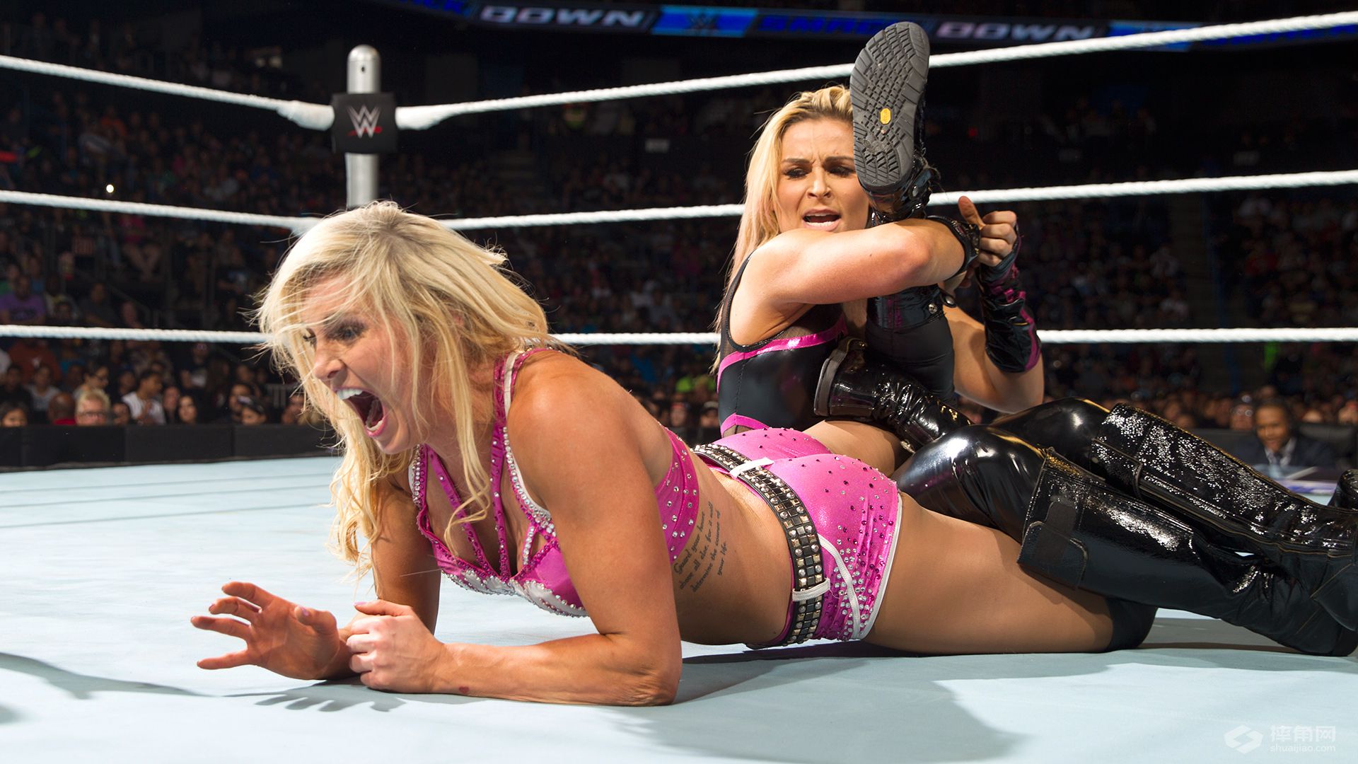 WWE里的加拿大巨星