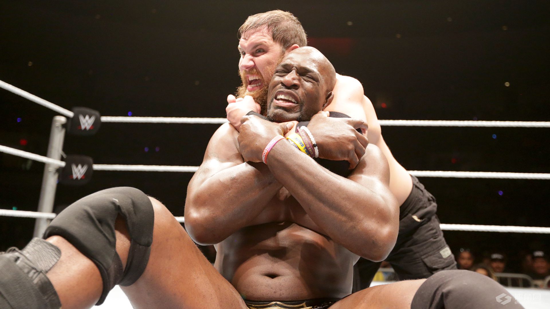 WWE 夏威夷檀香山现场秀