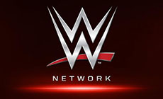 WWE电视网付费注册用户达新高，收益惊人！